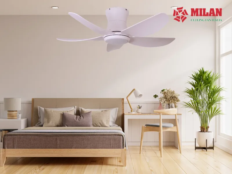 quat-tran-mau-trang-fy588